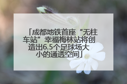 成都地铁首座“无柱车站”幸福梅林站将创造出6.5个足球场大小的通透空间