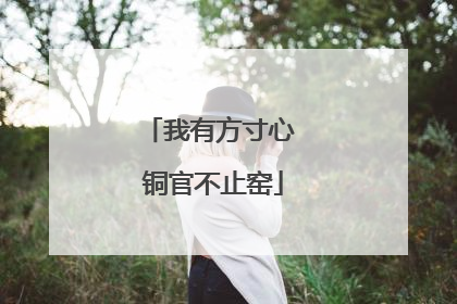 我有方寸心 铜官不止窑