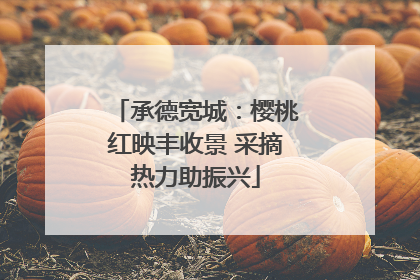 承德宽城：樱桃红映丰收景 采摘热力助振兴