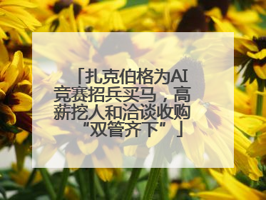 扎克伯格为AI竞赛招兵买马，高薪挖人和洽谈收购“双管齐下”