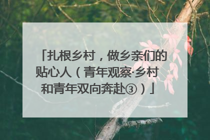 扎根乡村，做乡亲们的贴心人（青年观察·乡村和青年双向奔赴③）