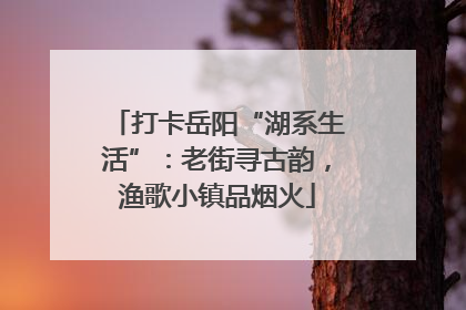 打卡岳阳“湖系生活”：老街寻古韵，渔歌小镇品烟火