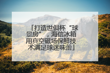 打造世俱杯“球景房”，海信冰箱用真空磁场保鲜技术满足球迷味蕾
