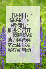 扬州市“绿扬同心·E路同行”推进会召开，网络统战助力民营经济高质量发展行动启动