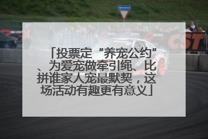 投票定“养宠公约”、为爱宠做牵引绳、比拼谁家人宠最默契，这场活动有趣更有意义