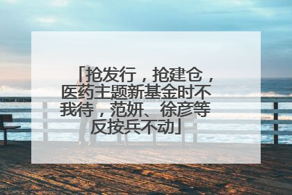 抢发行，抢建仓，医药主题新基金时不我待，范妍、徐彦等反按兵不动