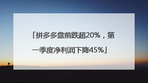 拼多多盘前跌超20%，第一季度净利润下降45%