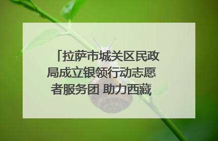 拉萨市城关区民政局成立银领行动志愿者服务团 助力西藏银发经济发展