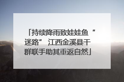 持续降雨致娃娃鱼“迷路” 江西金溪县干群联手助其重返自然