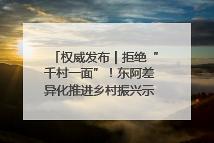 权威发布｜拒绝“千村一面”！东阿差异化推进乡村振兴示范片区建设