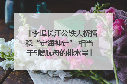 李埠长江公铁大桥插稳“定海神针” 相当于5艘航母的排水量
