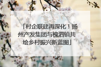 村企联建再深化！扬州产发集团与槐泗镇共绘乡村振兴新蓝图