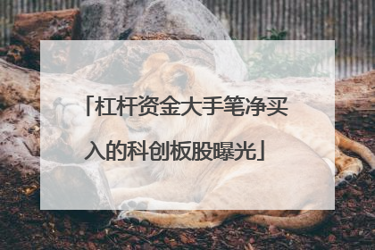 杠杆资金大手笔净买入的科创板股曝光