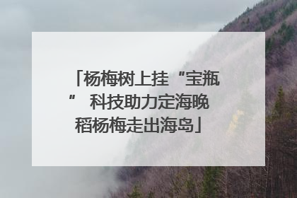 杨梅树上挂“宝瓶” 科技助力定海晚稻杨梅走出海岛