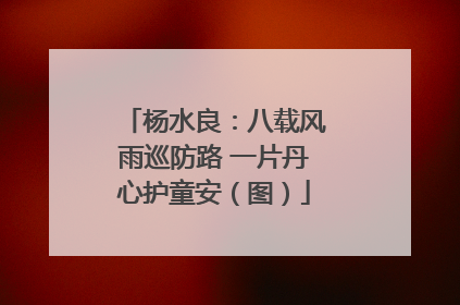 杨水良：八载风雨巡防路 一片丹心护童安（图）