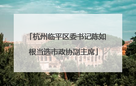 杭州临平区委书记陈如根当选市政协副主席