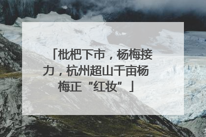 枇杷下市，杨梅接力，杭州超山千亩杨梅正“红妆”