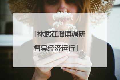 林武在淄博调研督导经济运行