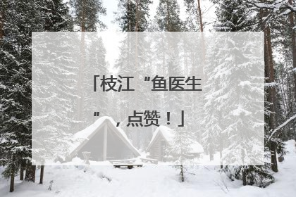 枝江“鱼医生”，点赞！