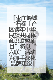 枣庄峄城“石榴主产区铸牢中华民族共同体意识联盟项目”将以“六联”活动为抓手深化品牌建设