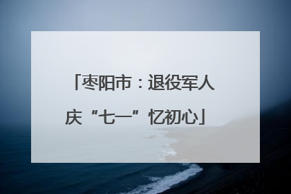 枣阳市：退役军人庆“七一”忆初心
