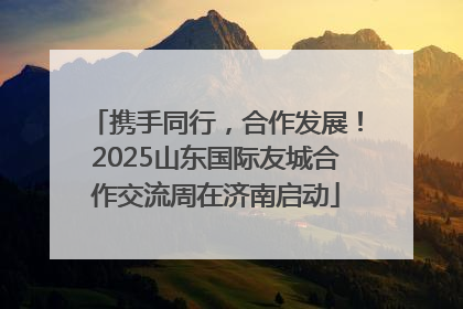 携手同行，合作发展！2025山东国际友城合作交流周在济南启动
