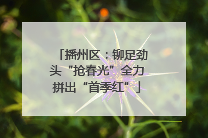 播州区：铆足劲头“抢春光”全力拼出“首季红”