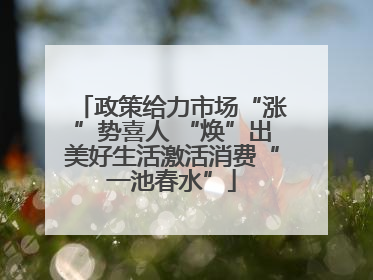 政策给力市场“涨”势喜人 “焕”出美好生活激活消费“一池春水”
