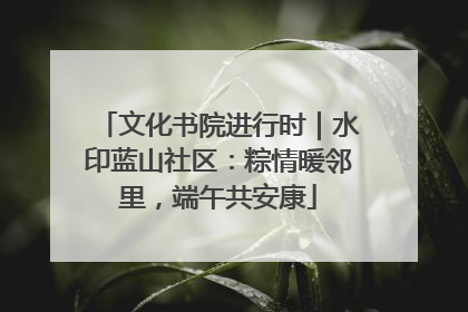 文化书院进行时｜水印蓝山社区：粽情暖邻里，端午共安康