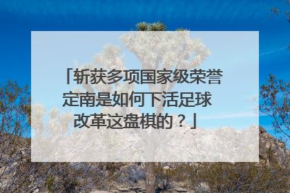 斩获多项国家级荣誉 定南是如何下活足球改革这盘棋的？