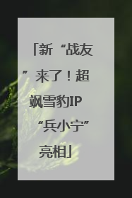 新“战友”来了！超飒雪豹IP“兵小宁”亮相