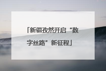 新疆孜然开启“数字丝路”新征程