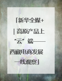 新华全媒+｜高原产品上“云”端——西藏电商发展一线观察