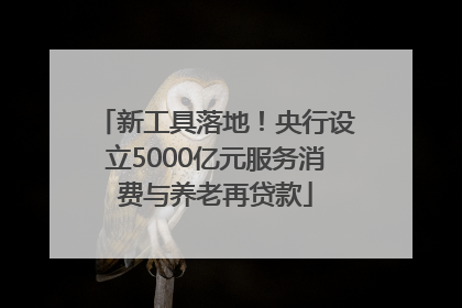 新工具落地！央行设立5000亿元服务消费与养老再贷款