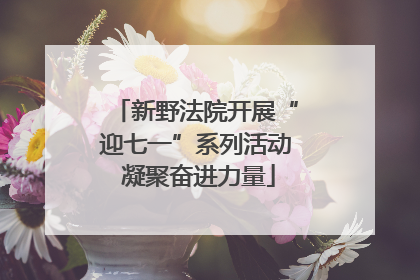 新野法院开展“迎七一”系列活动 凝聚奋进力量