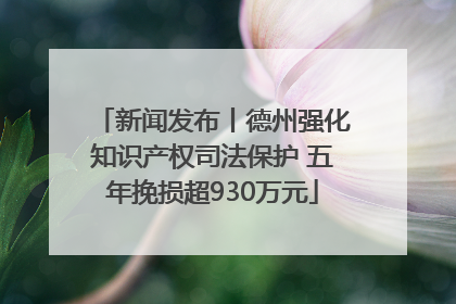 新闻发布丨德州强化知识产权司法保护 五年挽损超930万元