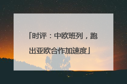 时评：中欧班列，跑出亚欧合作加速度