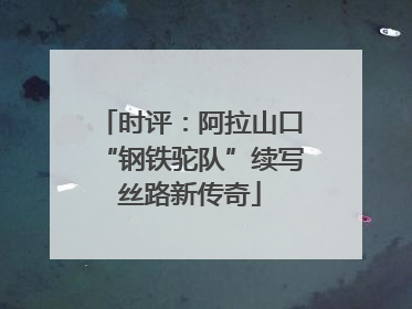 时评：阿拉山口“钢铁驼队”续写丝路新传奇