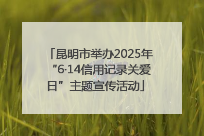 昆明市举办2025年“6·14信用记录关爱日”主题宣传活动