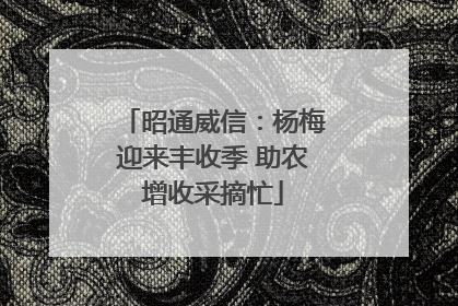 昭通威信：杨梅迎来丰收季 助农增收采摘忙