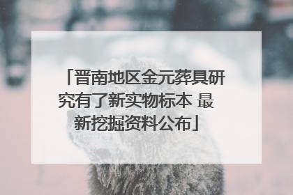 晋南地区金元葬具研究有了新实物标本 最新挖掘资料公布
