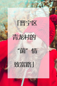 晋宁区青龙村的“菌”情致富路