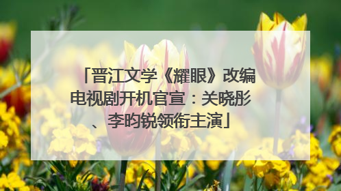 晋江文学《耀眼》改编电视剧开机官宣：关晓彤、李昀锐领衔主演