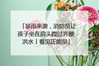 暴雨来袭，消防员让孩子坐在肩头蹚过齐腰洪水丨看见正能量