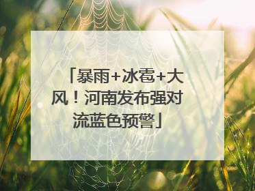暴雨+冰雹+大风！河南发布强对流蓝色预警