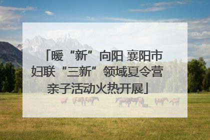 暖“新”向阳 襄阳市妇联“三新”领域夏令营亲子活动火热开展