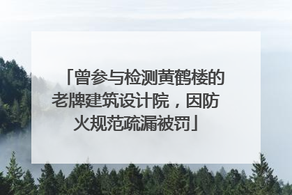 曾参与检测黄鹤楼的老牌建筑设计院，因防火规范疏漏被罚