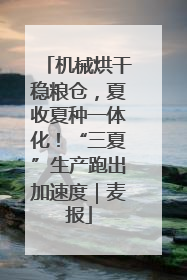 机械烘干稳粮仓，夏收夏种一体化！“三夏”生产跑出加速度｜麦报