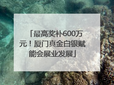最高奖补600万元！厦门真金白银赋能会展业发展