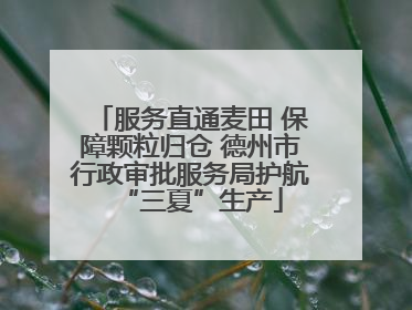 服务直通麦田 保障颗粒归仓 德州市行政审批服务局护航“三夏”生产